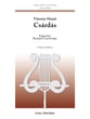 CSARDAS VIOLIN SOLO cover